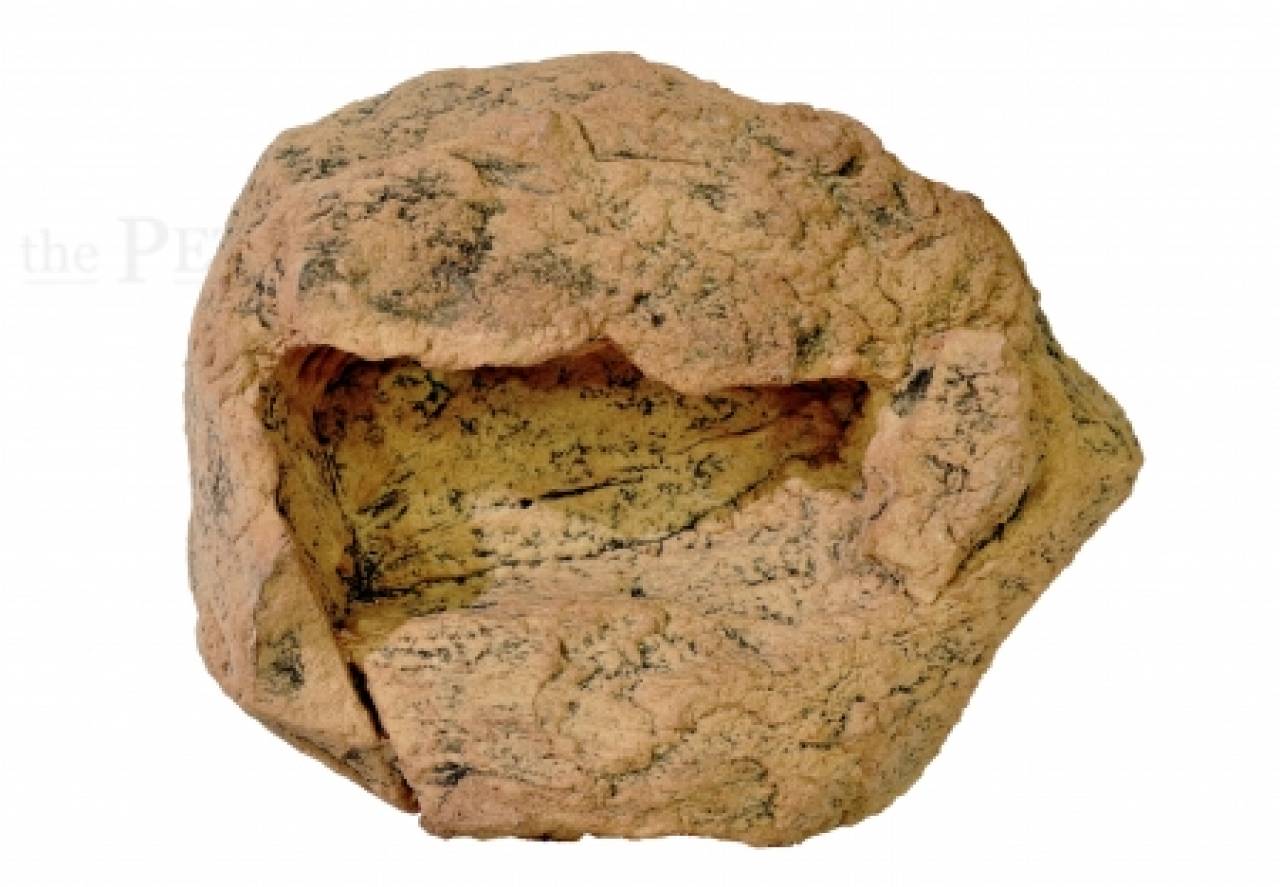 Wasserschale